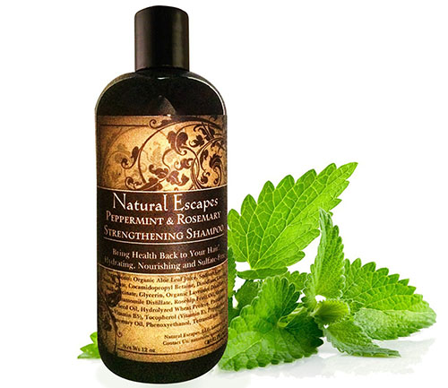6. Peppermint & Rosemary Strengthening Shampoo