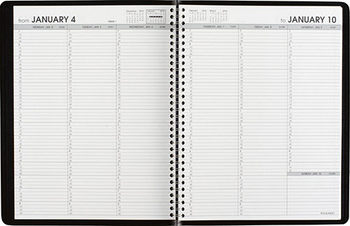 6. AT-A-GLANCE Appointment Book