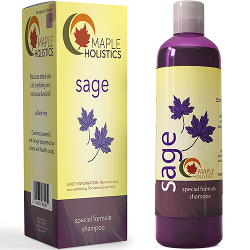 3. Maple Holistics Sage Shampoo 