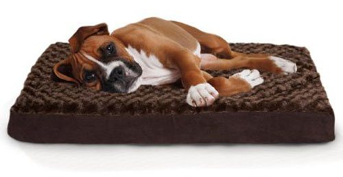 1. Orthopedic Mattress Pet Bed