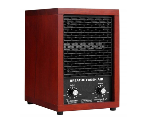 7. Breathe Fresh Air HEPA Ionizer Air Purifier