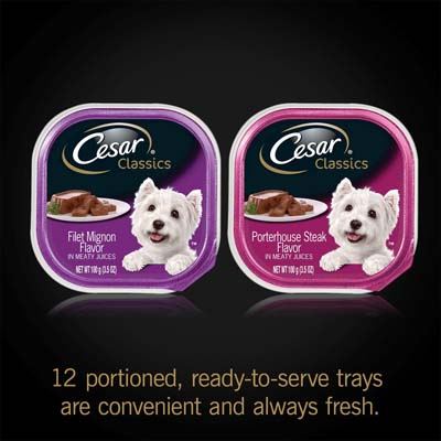 5. Cesar Classic Wet Dog Food Variety Packs