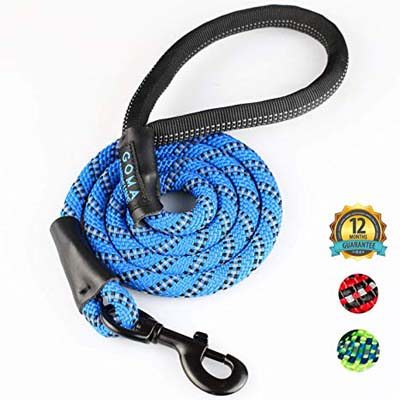 5. GOMA chew Resistant Dog Leash