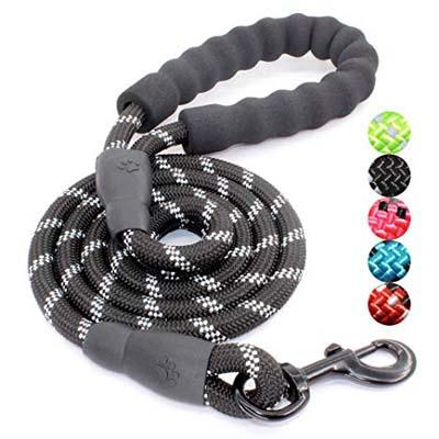 3. BAAPET 5FT Strong Dog Leash