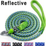 Best Dog Collars for Pulling