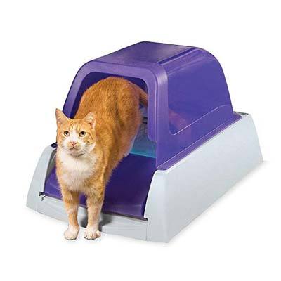 4. PetSafe ScoopFree Ultra Self-Cleaning Cat Litter Box