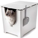 Best Cat Litter Box for Odor Control