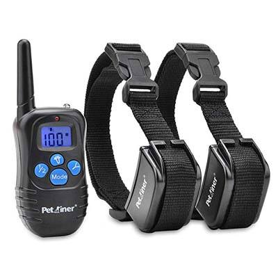 5. Petrainer Dog Shock Collar with Remote (PET998DRB2)