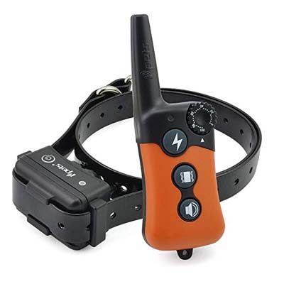 6. Ipets PET619S Dog Shock Collar Remote