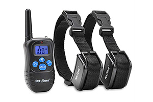 the best shock collar for large dogs