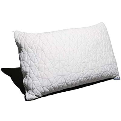 1. Coop Home Goods Pillow