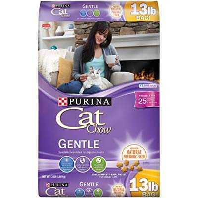 7. Purina Cat Chow Dry Cat Food