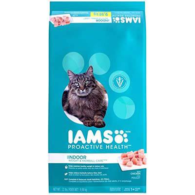 6. IAMS Proactive Dry Cat Food