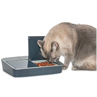 10. PetSafe Digital 2-Meal Feeder for Dog