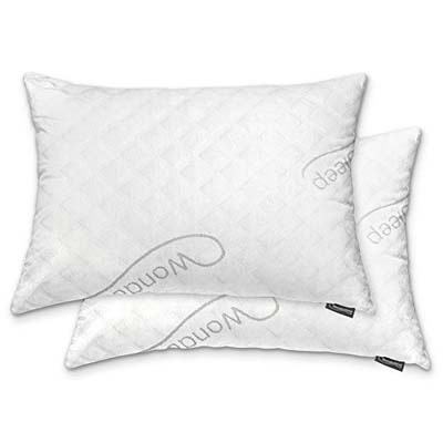 6. WonderSleep Premium Loft Pillow