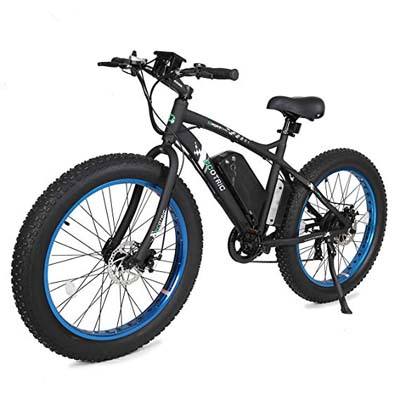 5. ECOTRIC Fat Tire Electric Bike