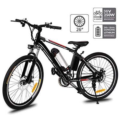 10. Aceshin Electric Mountain Bike