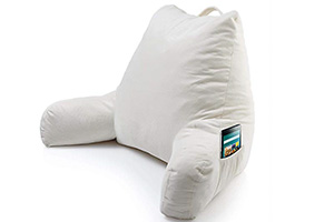 bed lounge pillow with arms
